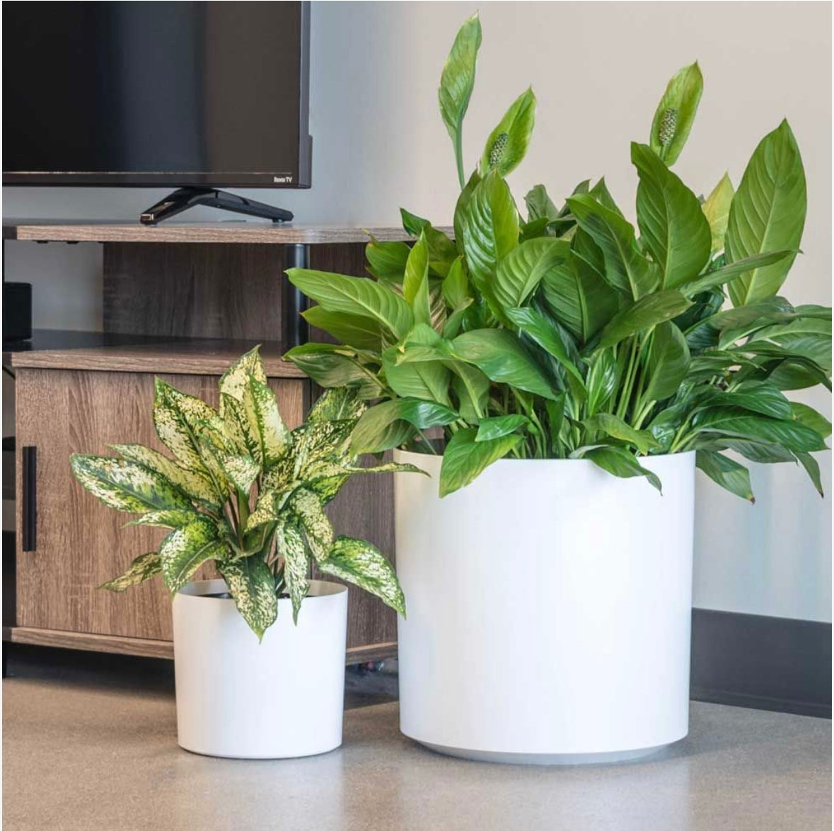 17” PotLuck Plastic Pot